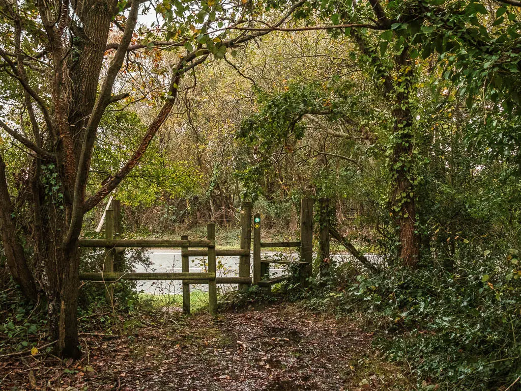 Standing under the woods, looking towards a wooden gate, with the road on the other side.