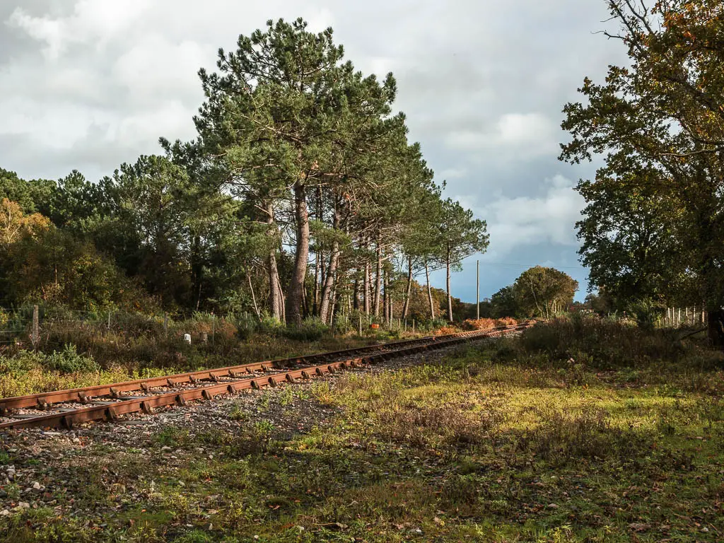 A railway track cutting diagonally across, with green grass on this side, and trees and bushes on the other side.