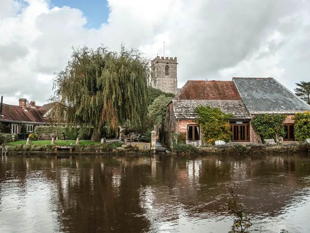 Looking across the river Frome in Wareham, at the start of the walk to Corfe Castle. There are some brick buildings on the other side next to a hanging branch tree. There is a church tower rising up behind the tree.