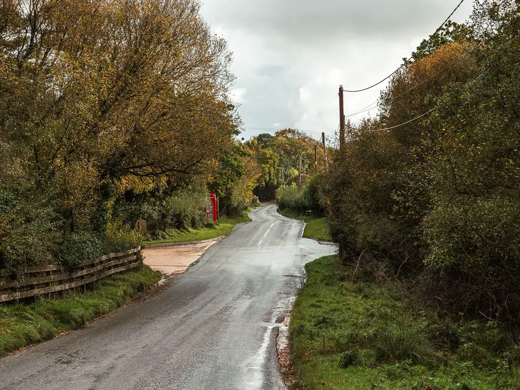 A road leading straight ahead, with bushes and trees on both sides, and a red telephone box just visible on the left side of the road ahead.