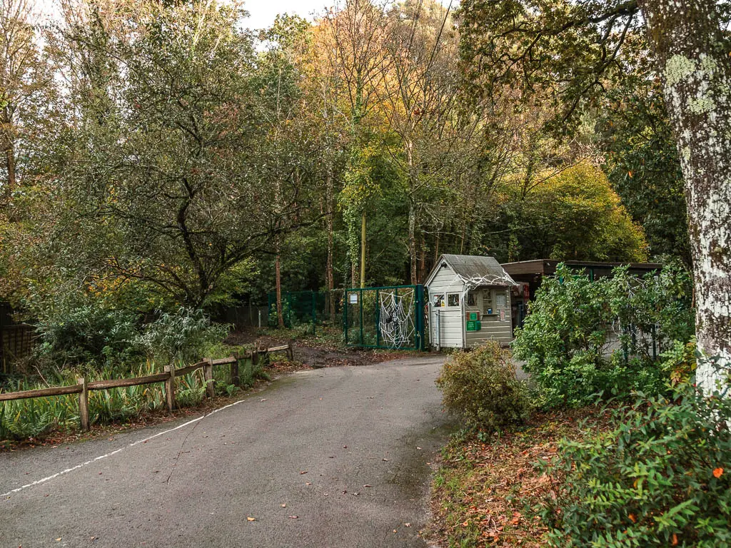 A road lined with a fews bushes, and a small shed ahead.