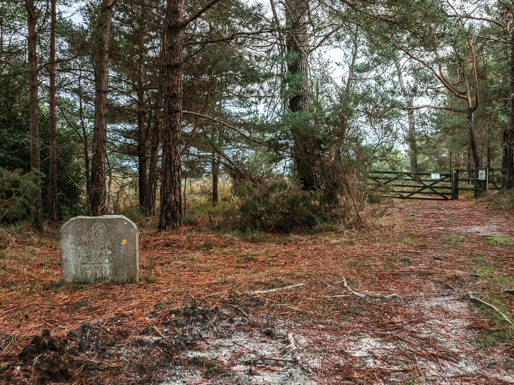 A small stone trail sign on the left, with a yellow arrow pointing ahead towards a gate. There are trees behind the sign.