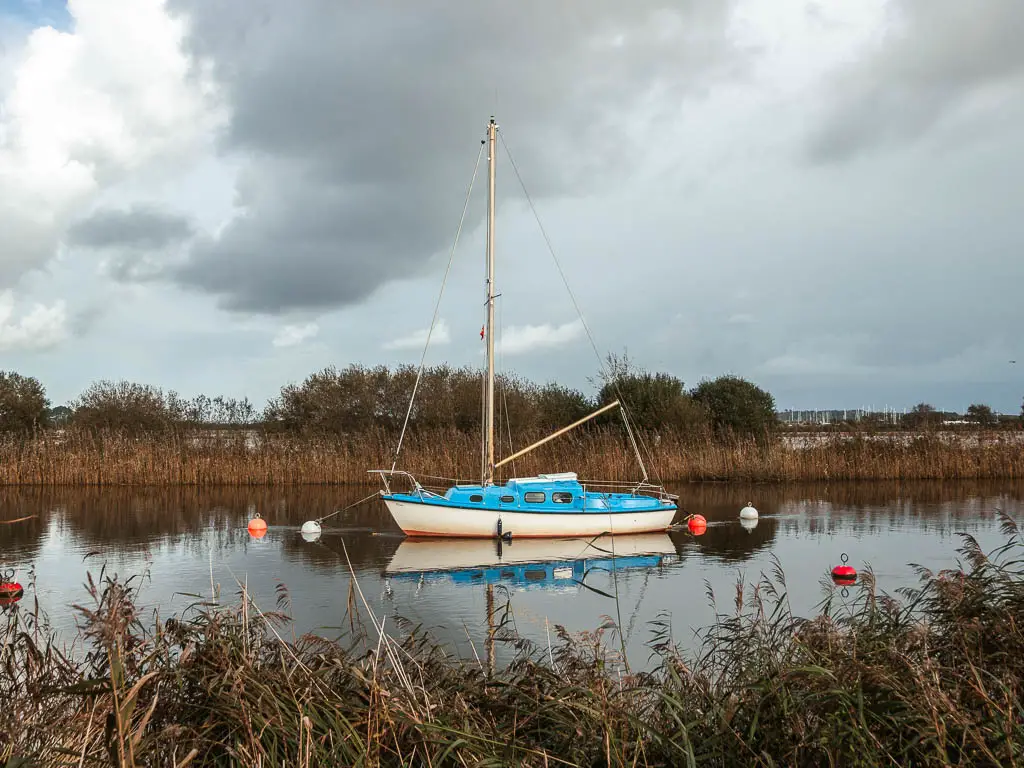 Looking over the bushes to a blue and white small yacht on the river, on the first part of the walk to Corfe Castle from Wareham. The water is calm.