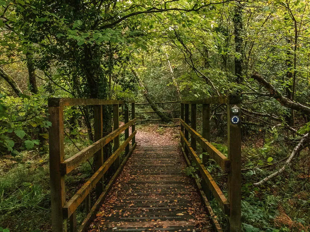 A wooden bridge surrounded by green leafy bushes and trees. 