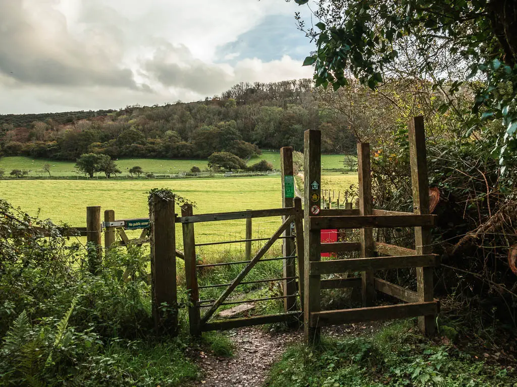 A wooden fence and gate with a views to a bright green field on the other side, on the walk towards Corfe Castle from Wareham. There is a hill in the distance covered in trees.