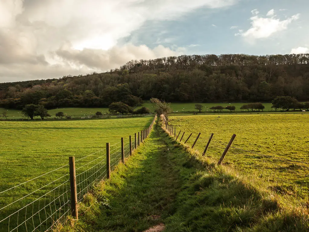 A long grass trail lined with fence, through the middle of the field, on the walk towards Corfe Castle from Wareham. There are trees up the hill on the other side.