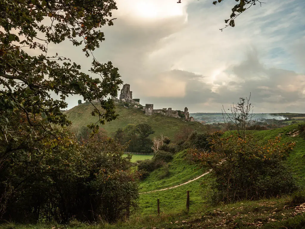 Looking past the tree leaves to a hill aheads with the ruins of Corfe Castle sitting on top, near the end of the walk from Wareham.