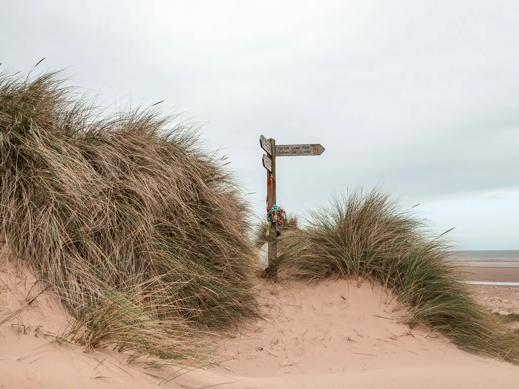 A wooden trail sign on the sand dune, on the walk from Burnham Overy Staithe to Blakeney. The sign point right and back.