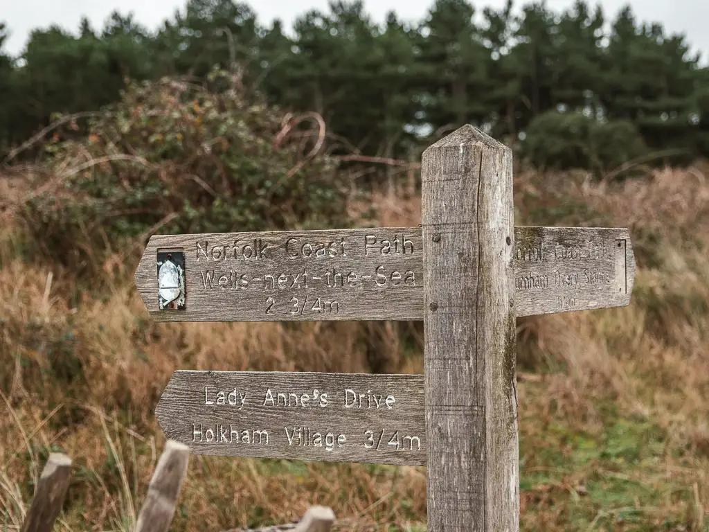 A wooden trail signpost pointing left for the Norfolk Coast Path and Wells-Next-the-Sea.