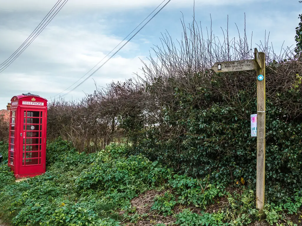 A wooden trail signpost on the right, and red telephone box on the left, both in front of a green hedge.