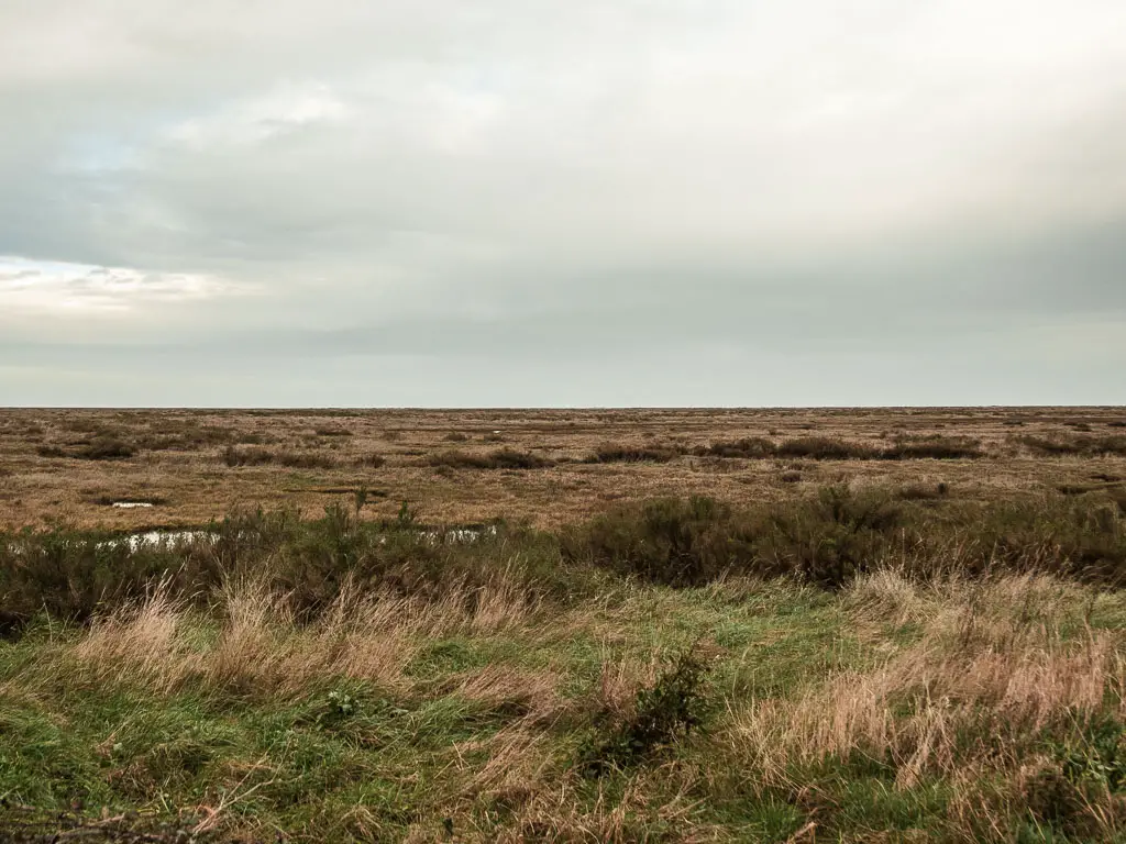 Looking across the bleak marshes when walking from Burnham Overy Staithe to Blakeney.