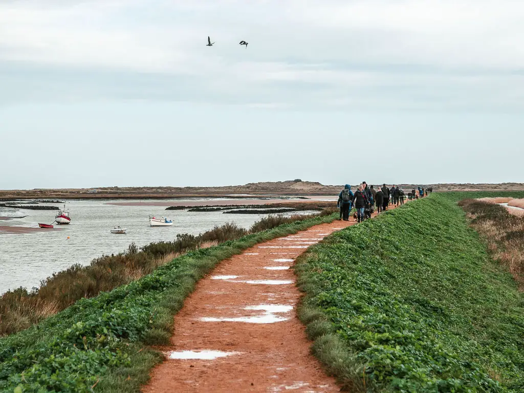 A ridge walking trail with lots of people walking along it ahead in Burnham Overy Staith. There is green grass down the sides of the ridge, and the river to the left with a few boats moored.