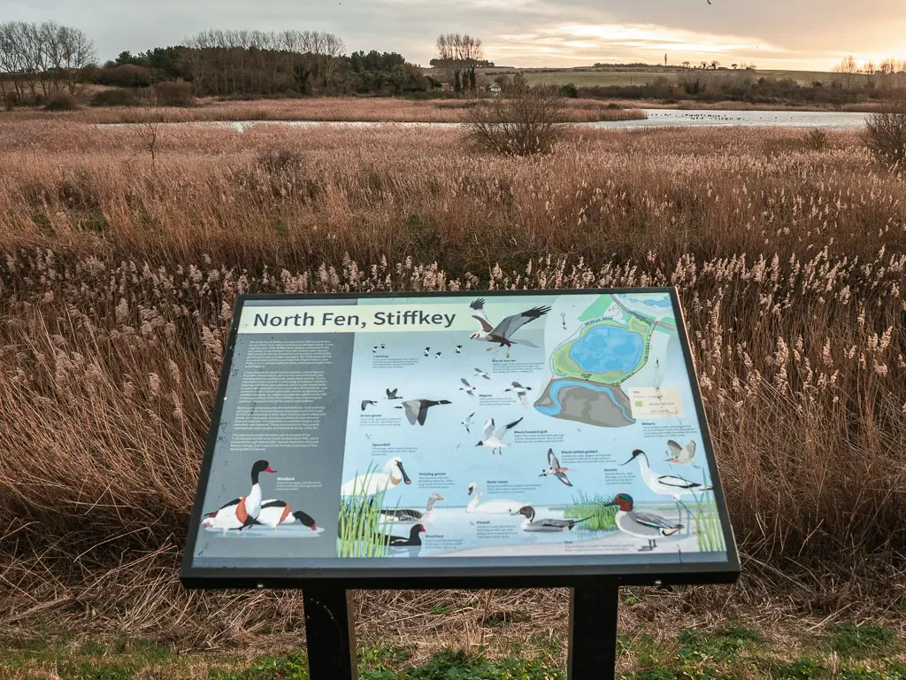 An information board showing the different bird species in the Stiffly Marshes.