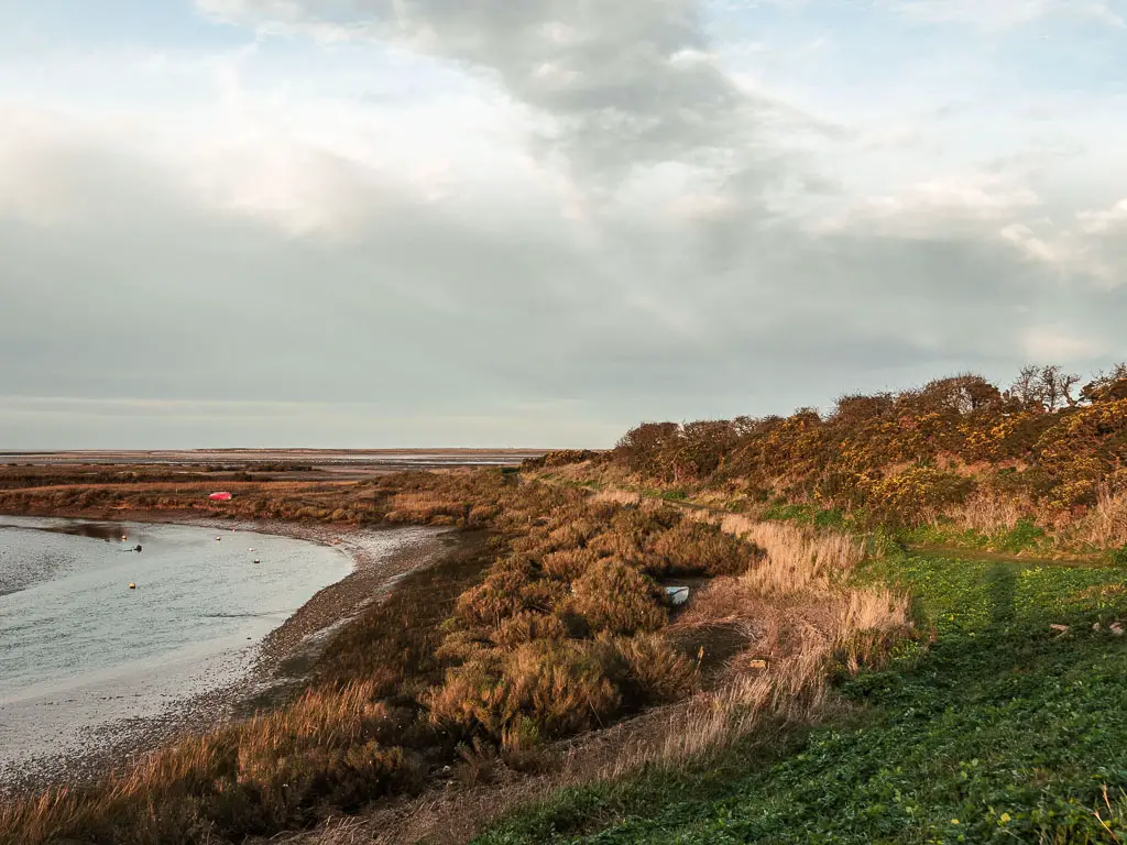 A grass trail leading around the right side of the curved river, near the end of the walk from Burnham Overy Staithe to Blakeney.