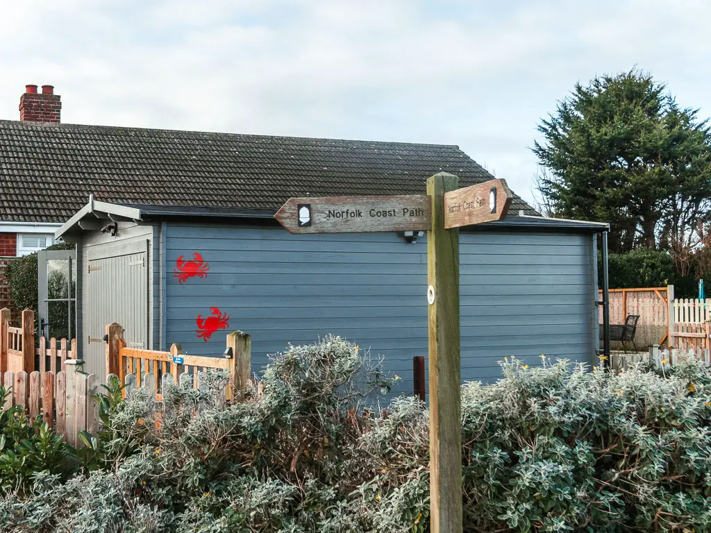 A wooden trail sign post pointing left and back, standing in front of some short bushes and a light blue shed behind. There are two red crabs painted onto the shed.