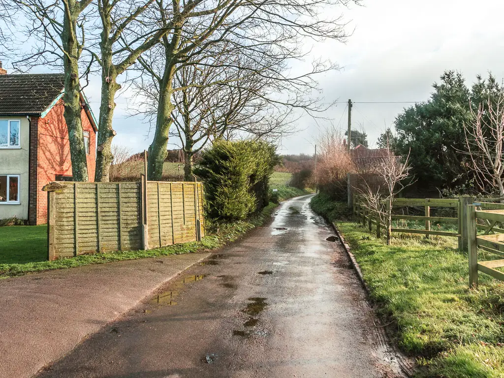 A small residential road leading straight ahead, with grass and a wooden fence eon the right side, and wooden fence and house on the left side. 