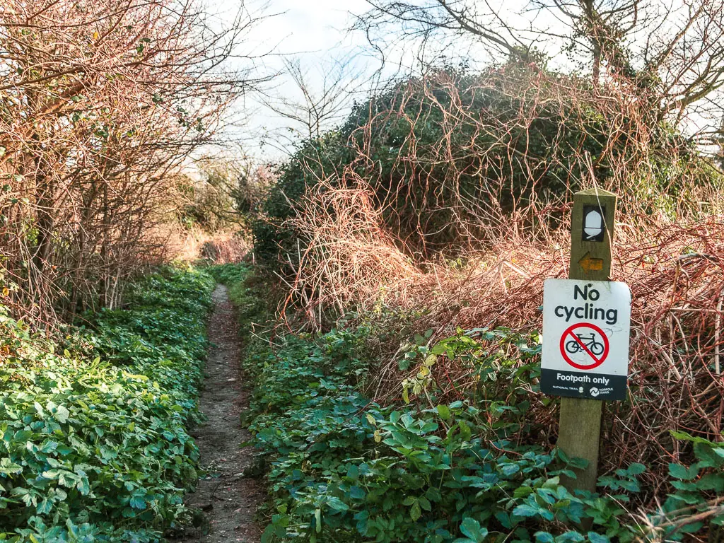 A narrow dirt trail through the bushes, with a wooden stump sign on the right with a white acorn. There is a sign on the post saying 'no cycling'.