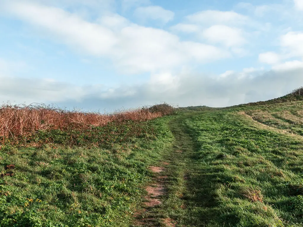 A grass trail leading up the grass hill.