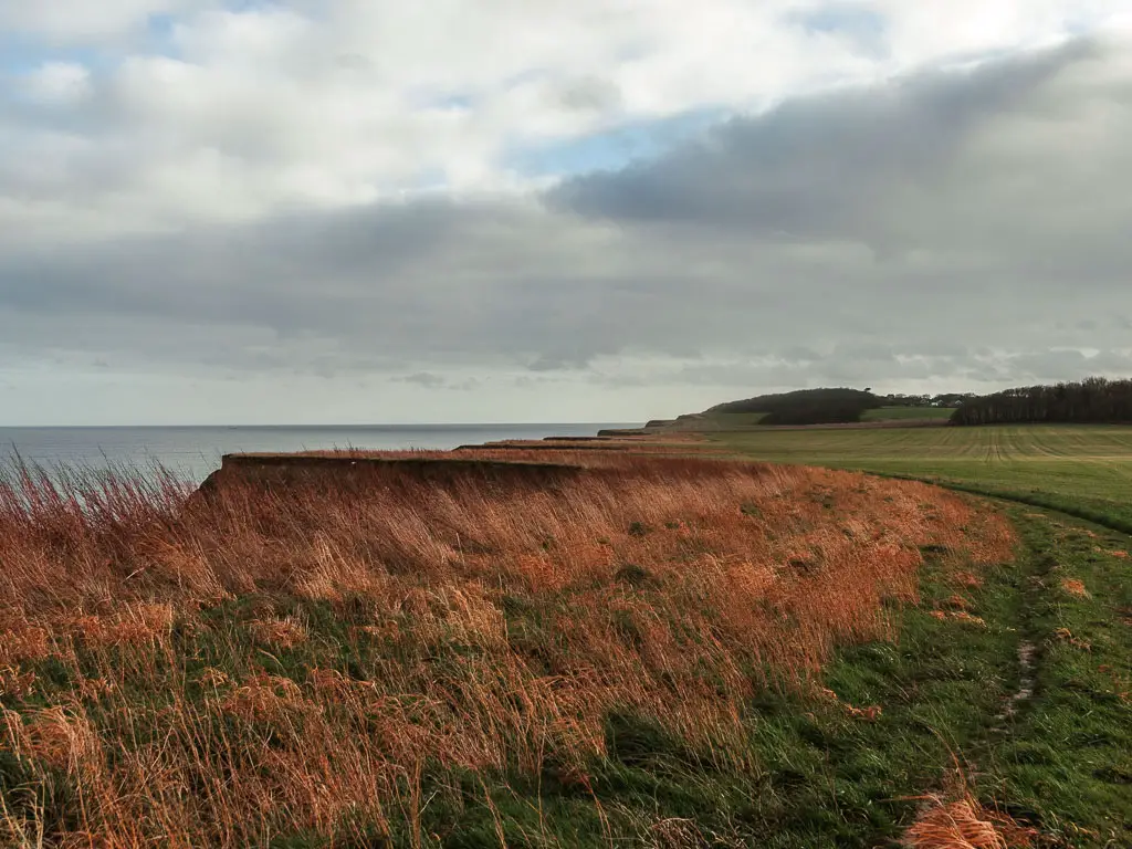 Looking along grassy clifftop, with the see just visible to the left, partway through the walk from Cromer to Mundesley.