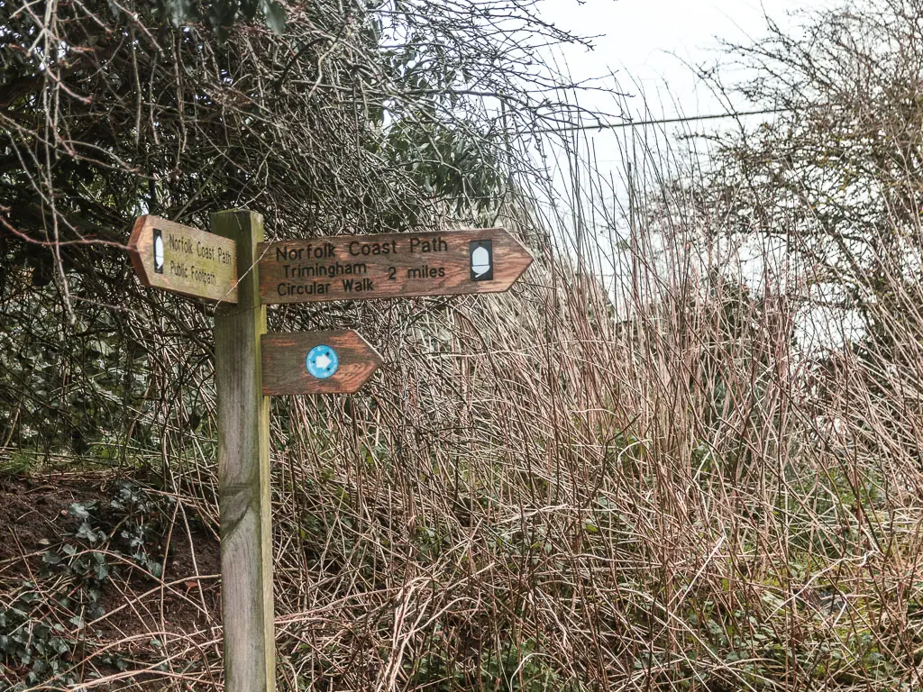 A wooden trail signpost in front of the leafless bushes, pointing right and back for the Norfolk Coast Path when walking from Cromer to Mundesley.