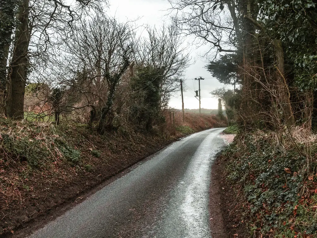 A road leading ahead, lined with dirt backs and leafless trees.