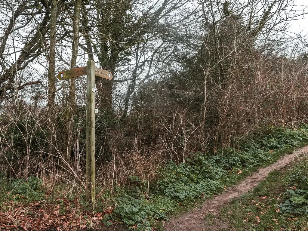 A wooden trail sign pointing along a narrow dirt trail, with leafless bushes on the left side of the trail.