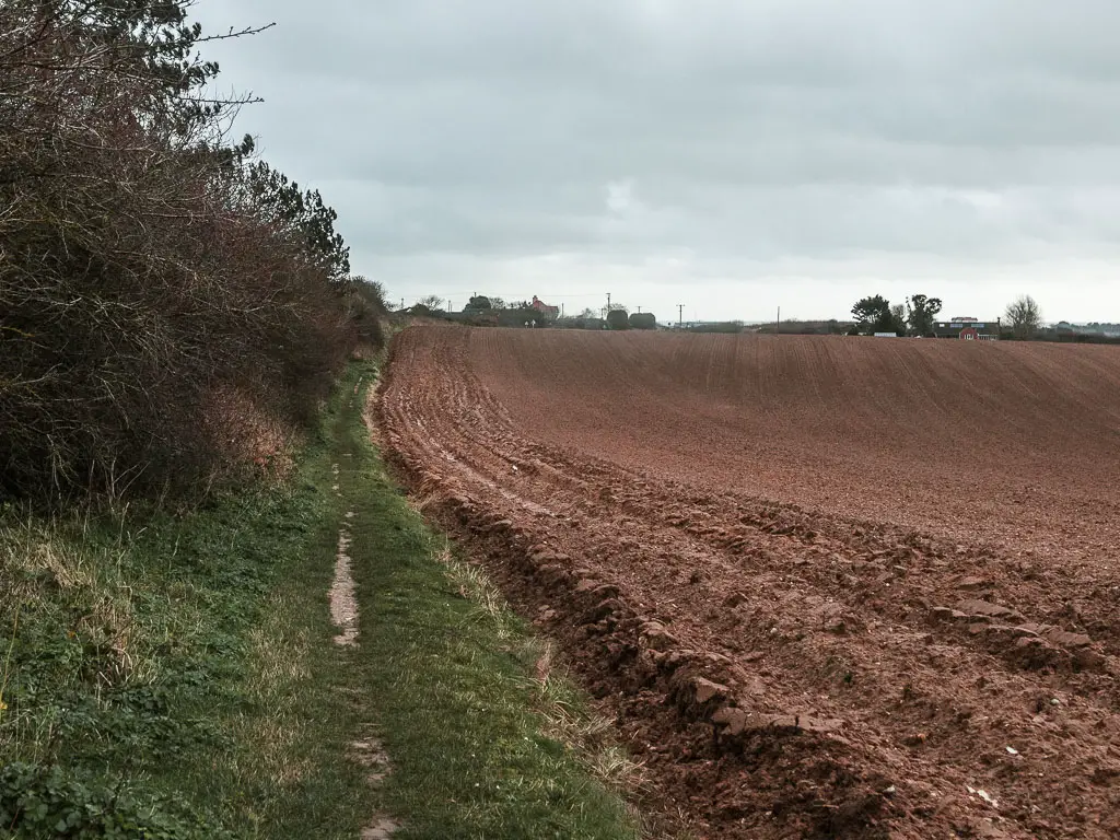 A narrow grass trail running along the left side of a brown coloured crop field, along the walk between Cromer and Mundesley.