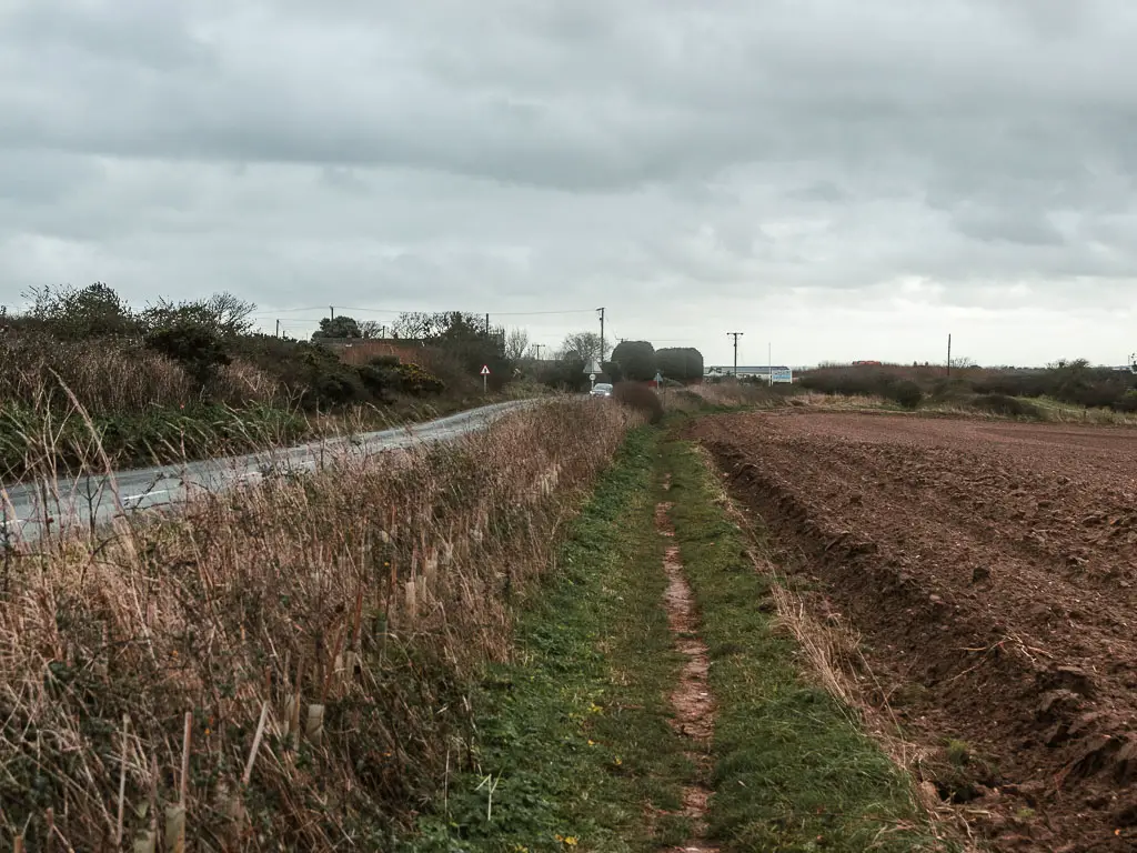 A grass trail leading straight ahead, with a brown crop field on the right and road on the left.