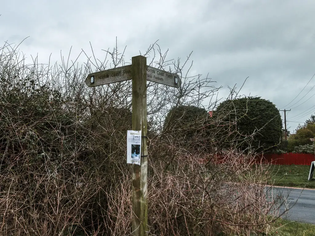 A wooden trail sign in front of a leafless bush.