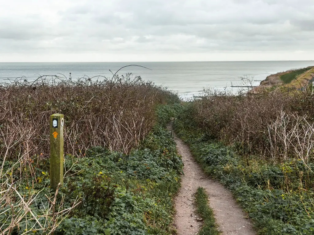 A dirt trail leading through the leafless bushes. There is a wooden trail sign on the left, with a white acorn and yellow arrow pointing ahead along the trail.