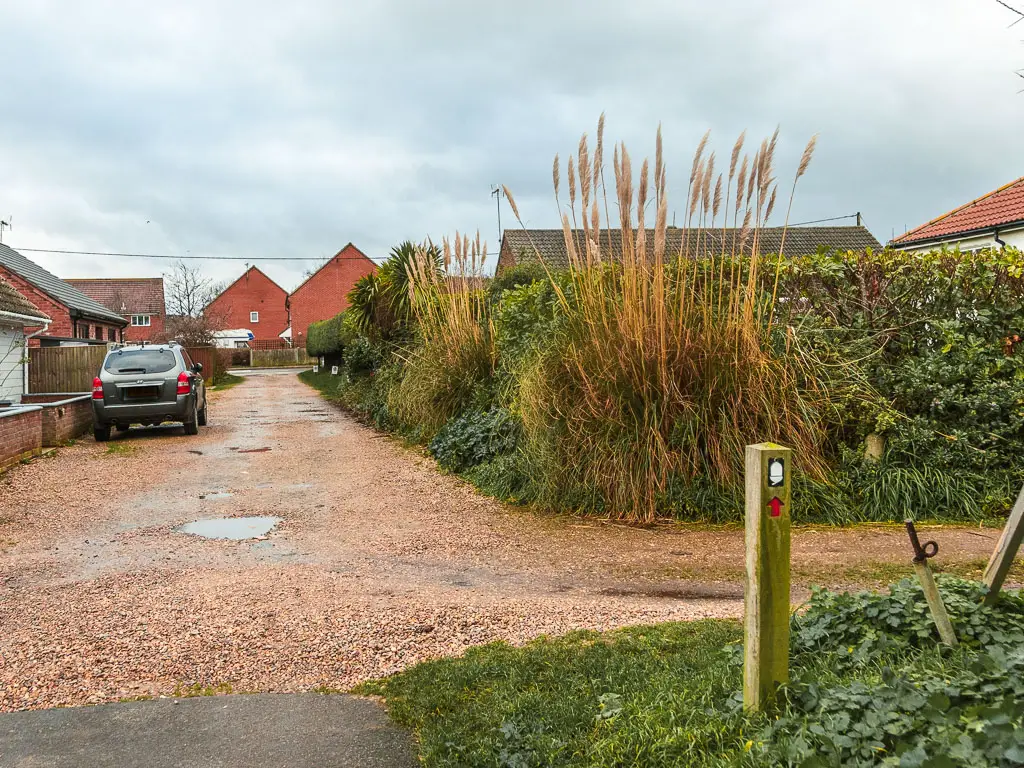 A gravel road ahead, with houses on the left and a hedge on the right. There is a wooden stump sign with a red arrow pointing along the road ahead.