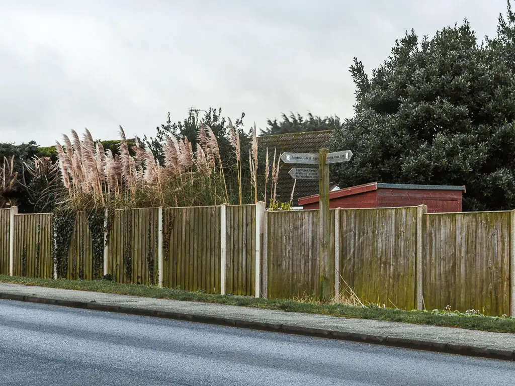 Looking across the to the side of the road where there is a wooden fence and wooden trial signpost. 