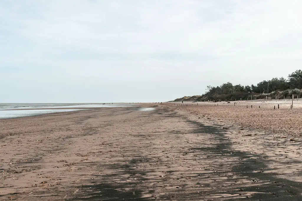 Looking along a long stretch of sandy beach with beige and black sand.