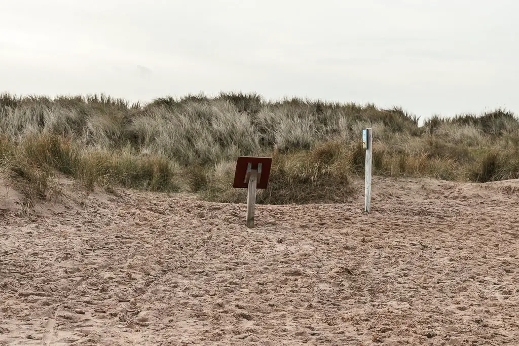 A puckered sandy beach meeting the tall grass ahead. There are two information boards by the grass.