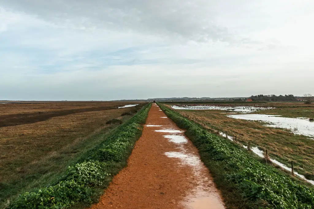 A long straight ridge trail, with grass down the sides and marsh land all around.