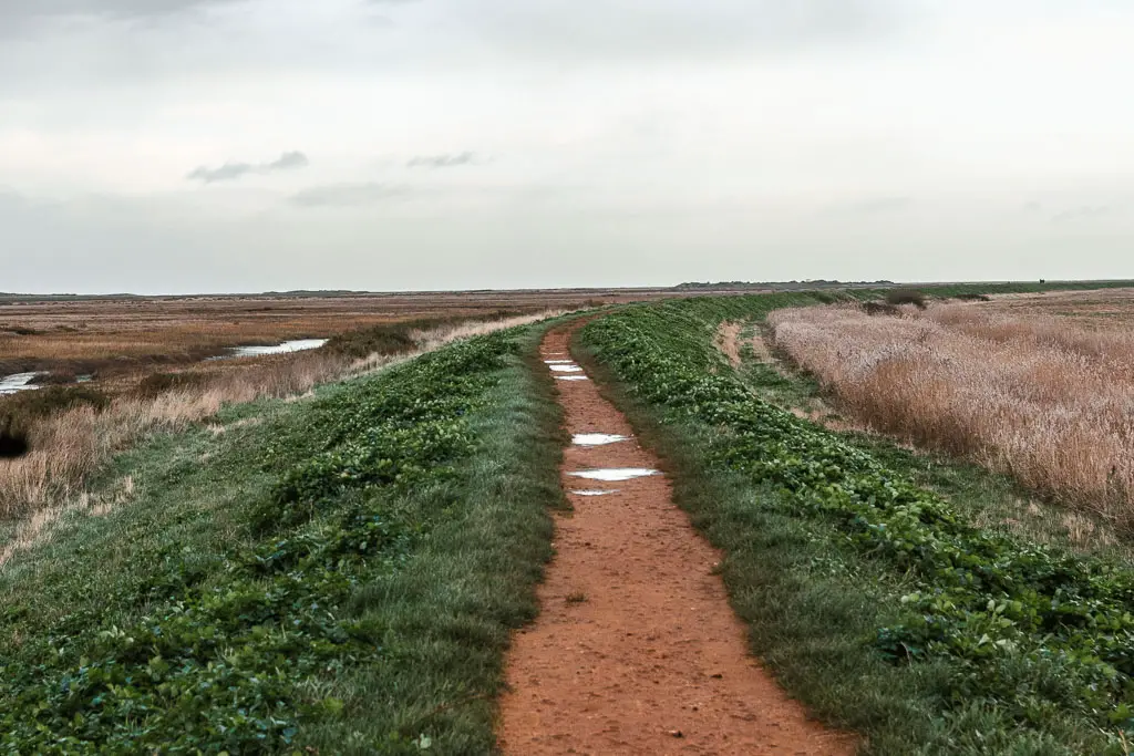 A dirt trail leading ahead then curving right, lined with grass, and surrounded by marshland.