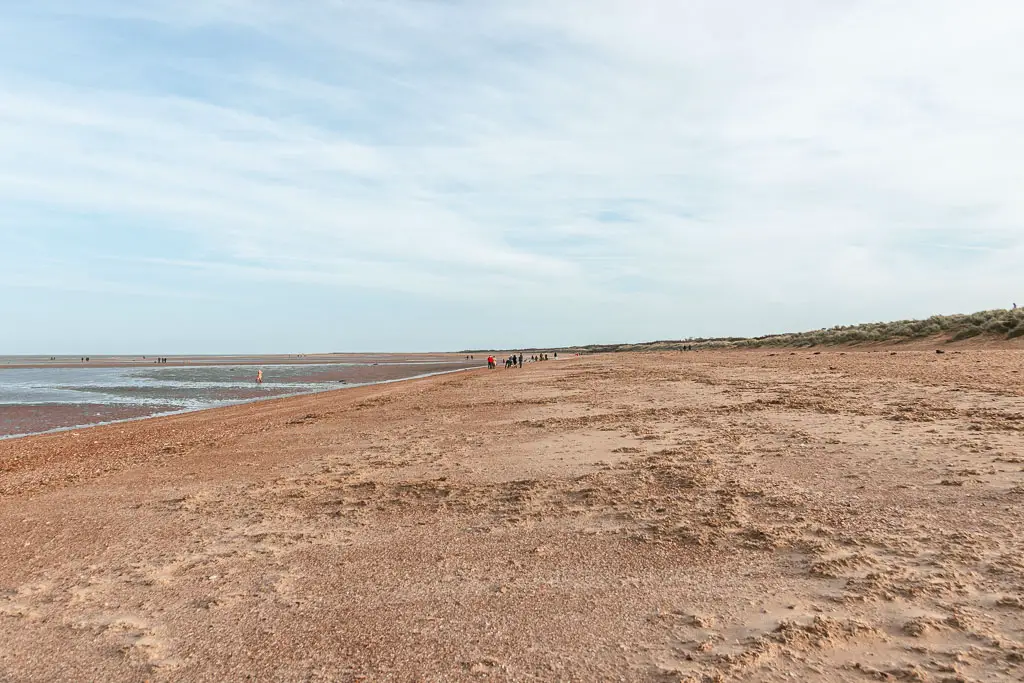 A long wide stretch of sand leading into the distance as far as the eye can see. There are specs of people walking ahead in the distance. 