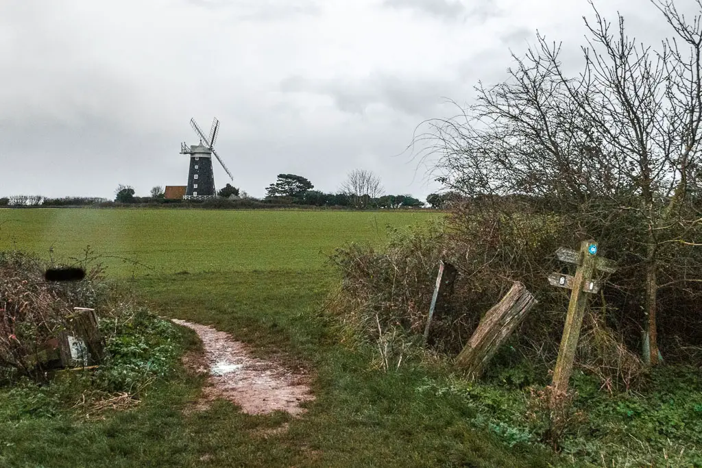 The grass trial leading through a gap in a hedge, with a field on the other side, and a black and white windmill on the other side of the field. There is a learning wooden trail signpost on the right before the hedge.