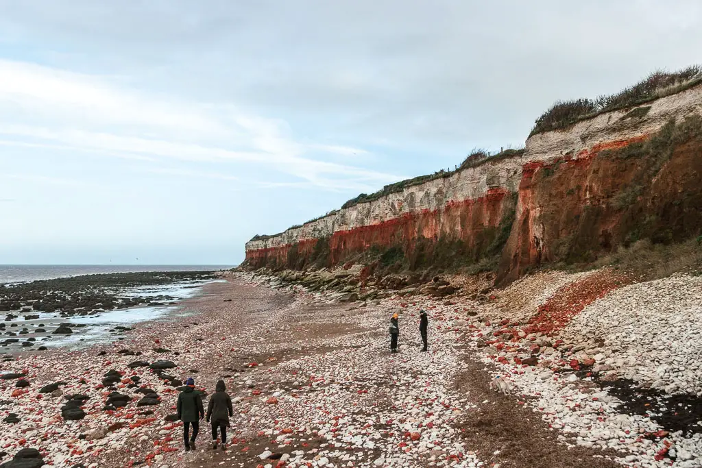 Looking down along the rocky beach, with the red and white stripped Hunstanton cliffs rising up on the right, at the start of the walk towards Burnham Overy Staithe. There are 4 people walking along the beach.