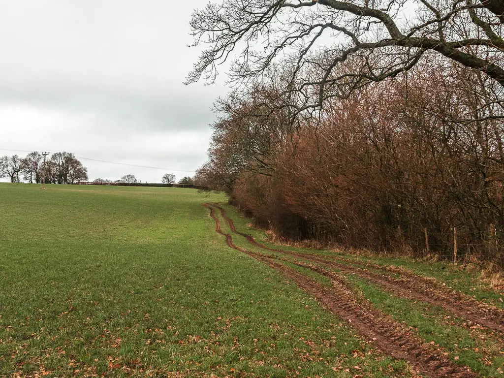 Looking along a grass field with a dirt trail running along the right edge, with woodland trees on the right.