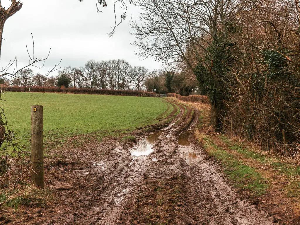 A muddy track running along the edge of a grass field. There are trees along the right side of the field.