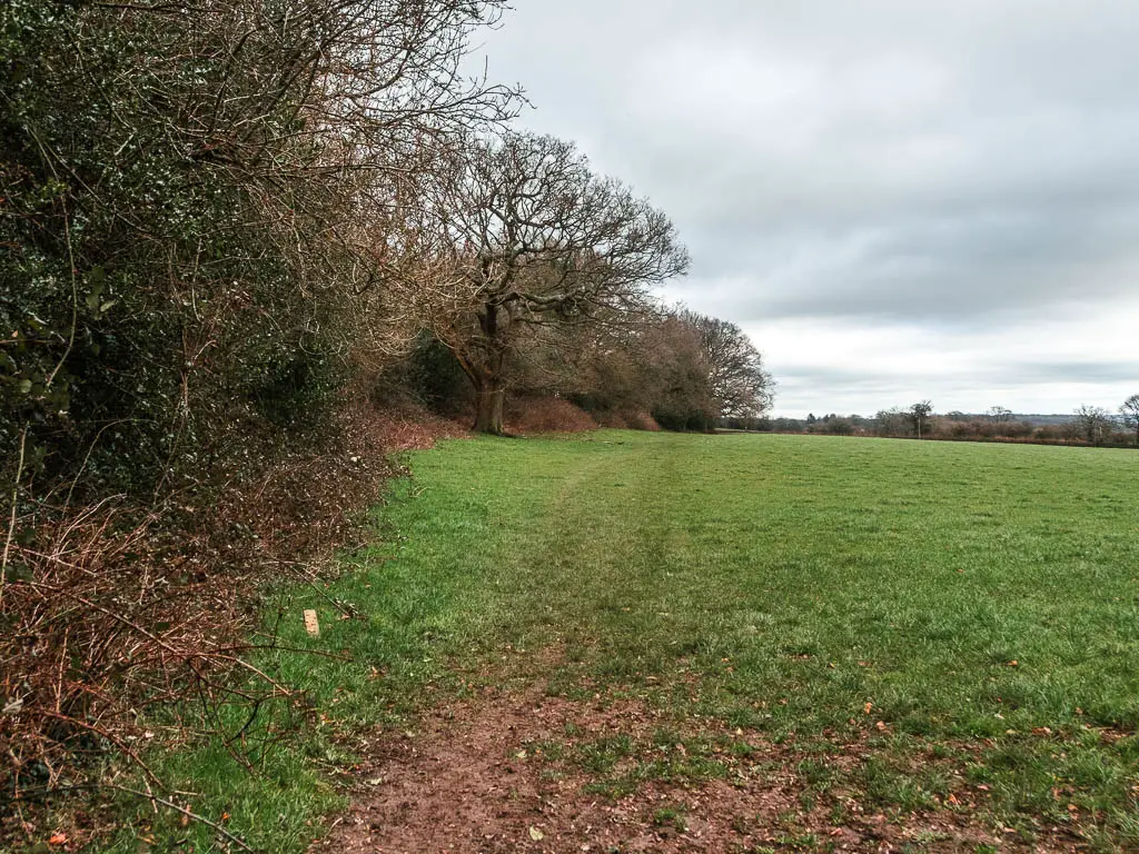 Looking along the edge of a grass field, with trees and bushes along the right side.