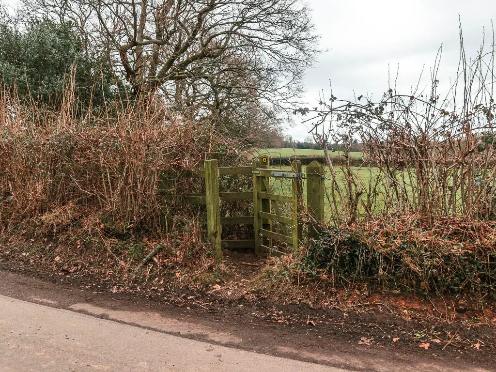 Looking across a road to a leafless hedge and wooden gate, with a field on the other side.