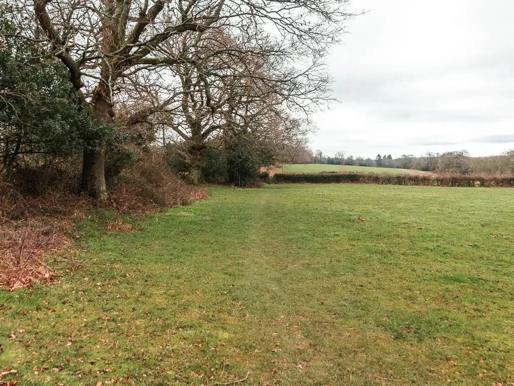 Looking along the left side of a large grass field, with trees lining the left side.