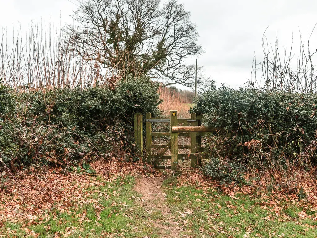 A dirt trail leading to a wooden gate in a hedge.