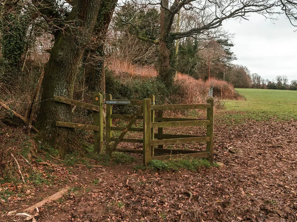 A wooden gate with no fence sitting on a muddy section of a field. There are trees and hedges along the left side of the field.