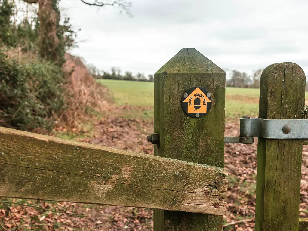 A wooden gate with a yellow trail arrow pointing straight ahead in the field.