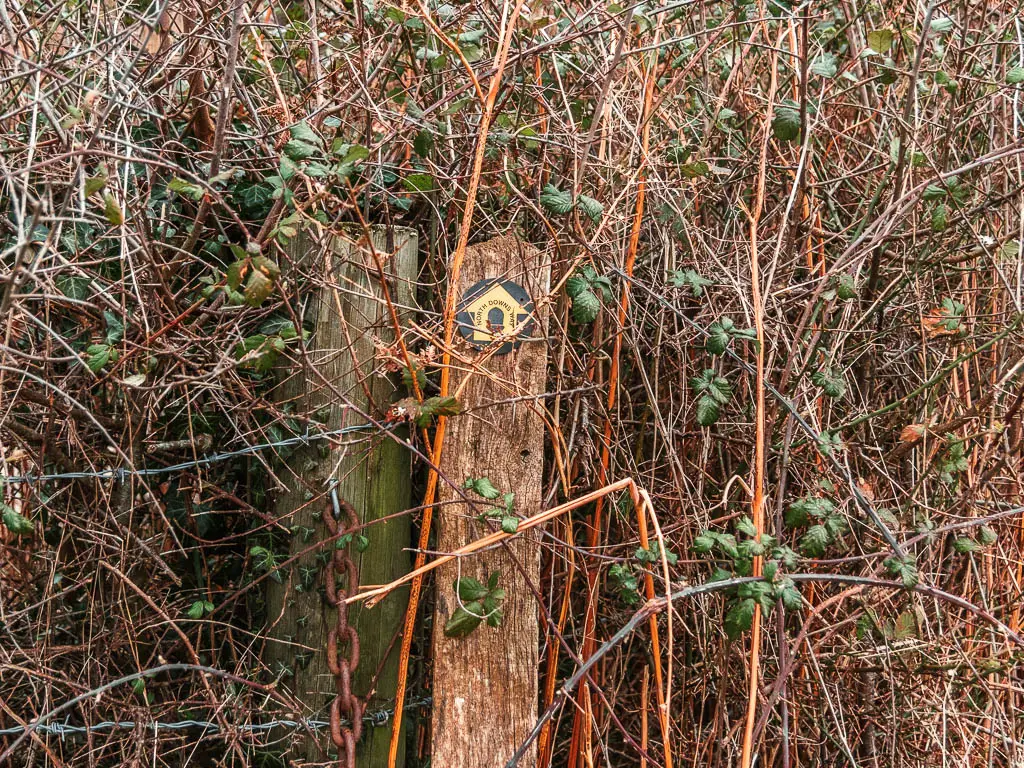 A wooden trail signpost nestled within the bush, partially hidden.