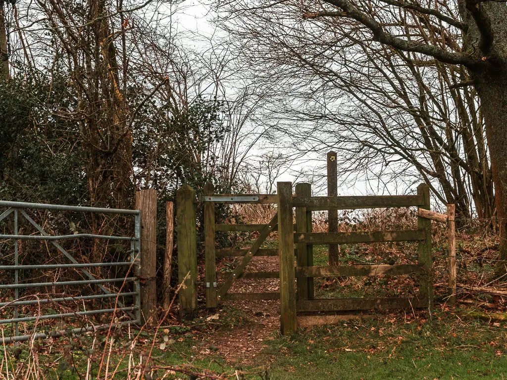 A wooden gate surrounded by leafless trees.