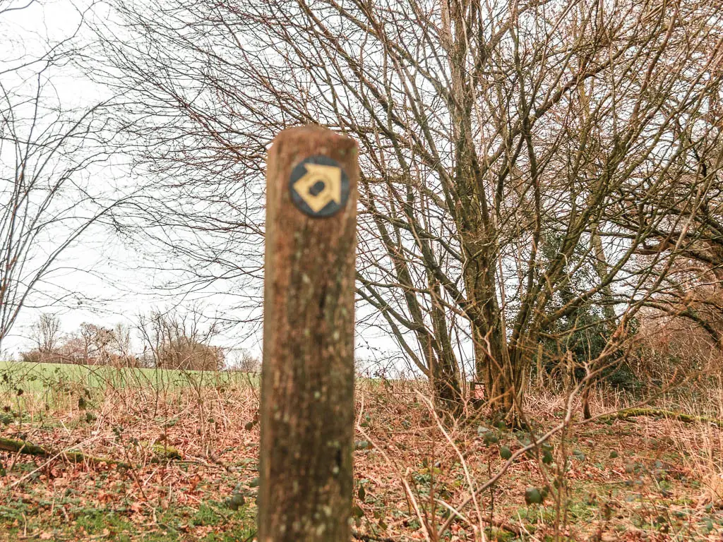 A wooden stump signpost with a yellow arrow pointing diagonally right.